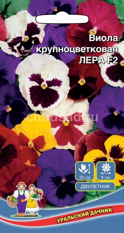 Цветы Виола крупноцветковая Лера F2 Image