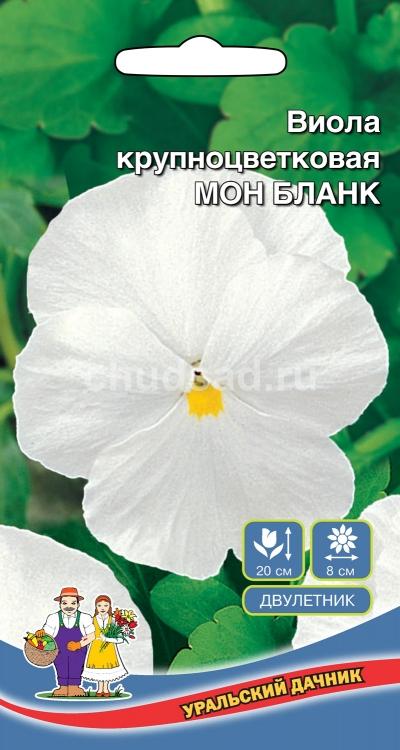 Цветы Виола крупноцветковая Монт Бланк Image